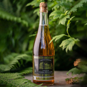 Pur jus de pomme pétillant Château Lezergué